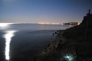 DSC_0504